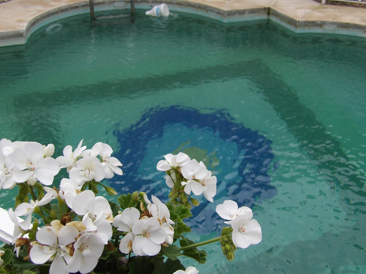 Palacio Donana , Rural & Luxury El Rocío Dış mekan fotoğraf