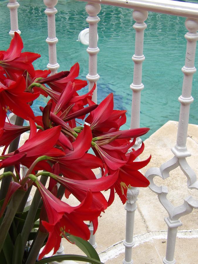 Palacio Donana , Rural & Luxury El Rocío Dış mekan fotoğraf